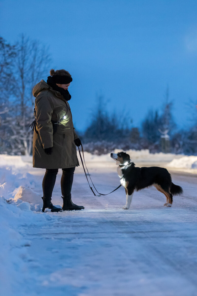 Trixie Flasher USB Lampa