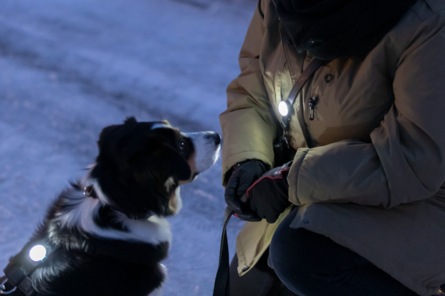 Trixie Flasher USB Lampa