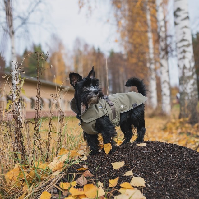 Trixie Hermy Olivgrön 28 cm