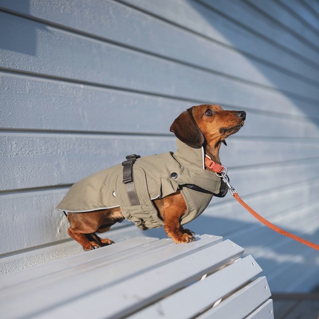 Trixie Hermy Olivgrön 38 cm