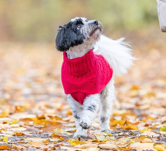 Trixie Norwood Pullover Olivgrön
