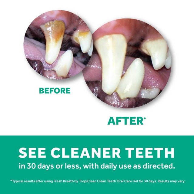 Tropiclean Clean Teeth Oral Gel