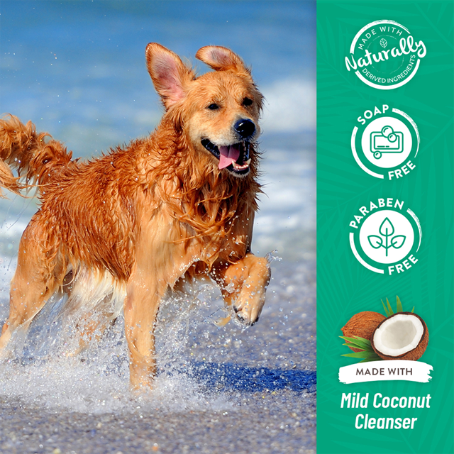 Tropiclean Hypoallergenic Coconut Puppy & Kitten Shampo 355 ml