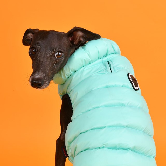 Ultra Light Vest B Sky Blue Hundtäcke