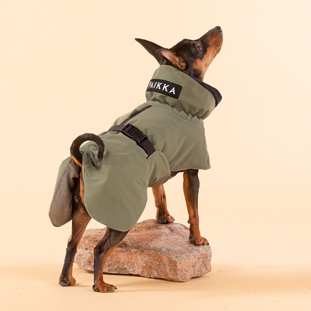 Paikka Visibility Winter Jacket - Grön