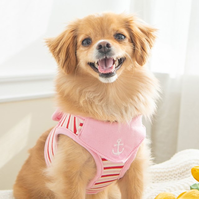 Seaman Pink - Jacket Hundsele