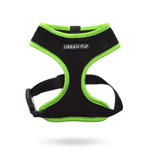 Active Mesh Neon Hundsele - Grön