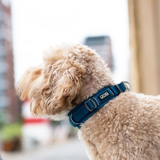 URBAN EXPLORER 3.0 HALSBAND OCEAN BLUE