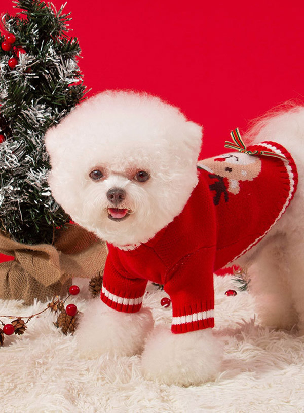 Prancer's Red Sweater