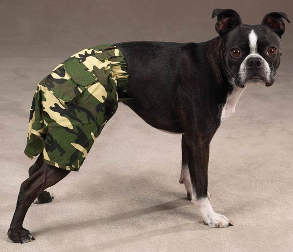 Bomullbyxor i Camo