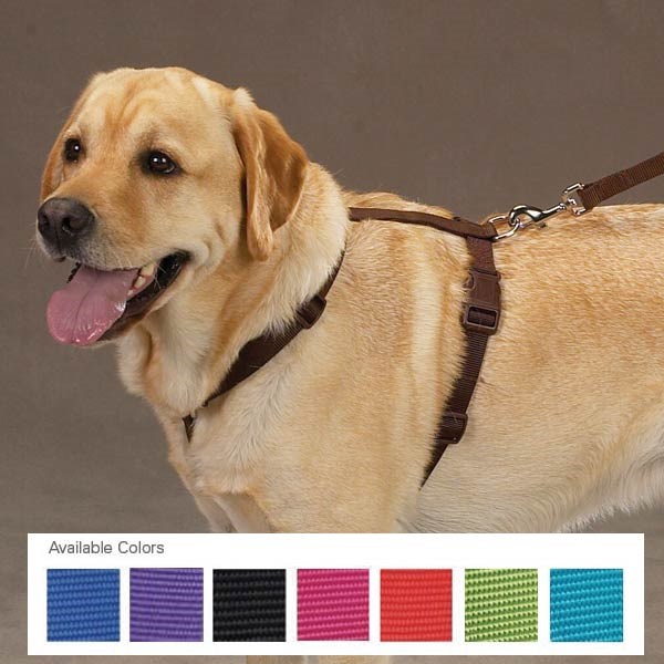 Nylon Sele Brun - XL