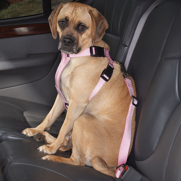 Cruising Pink - Bilsele för hundar
