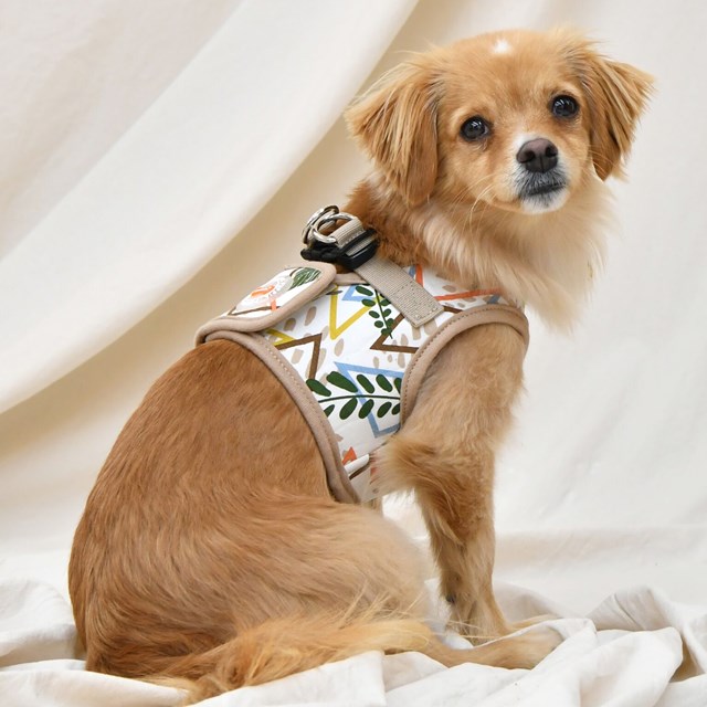 Botanical Beige - Hundsele
