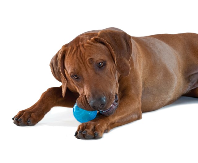 Petstages Orka Tennis Ball - extra slitstark