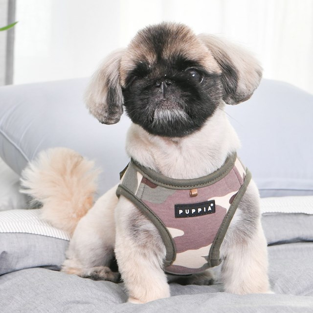Lance Camo - Jacket Hundsele