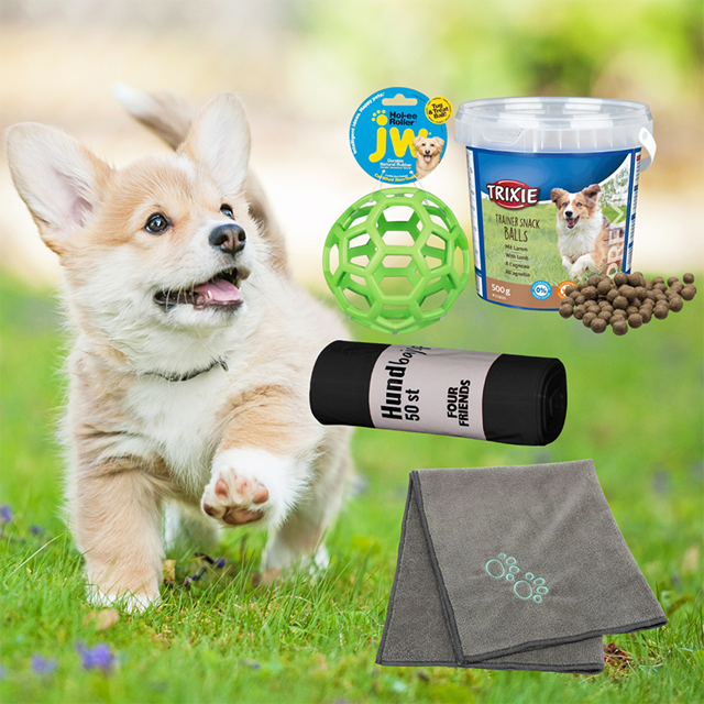 Valp Startkit 1