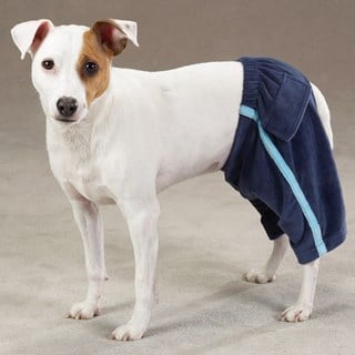 Velour Royalty Sweat Pants - Blå