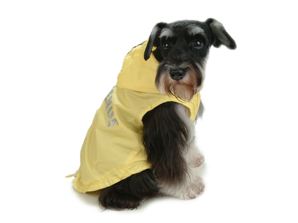 5th Avenue Waterproof Vest Yellow - Hundkläder