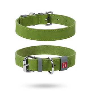 Waudog Classic - Läderhalsband Limegrön