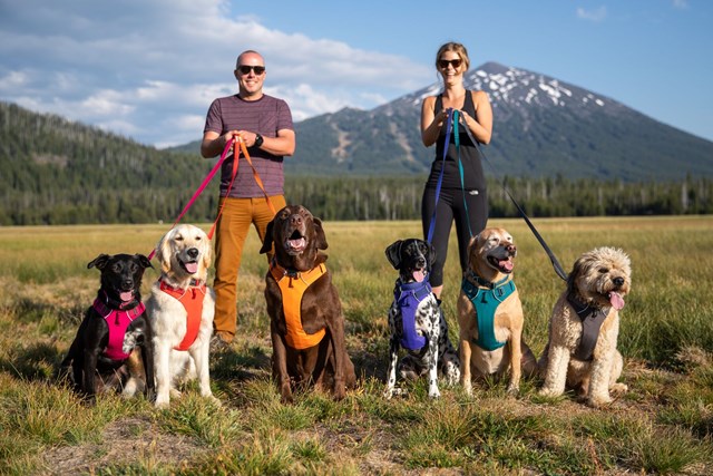 Front Range HUCKLEBERRY BLUE Hundsele