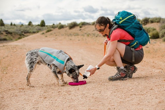 Camp Flyer Pitaya Pink Frisbee
