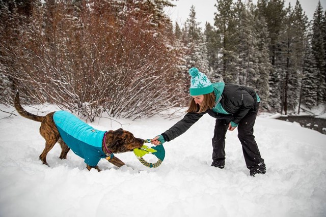 Pacific Ring Toy Tumalo Teal