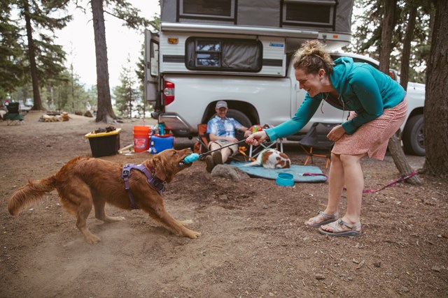 Ruffwear Huck A Cone
