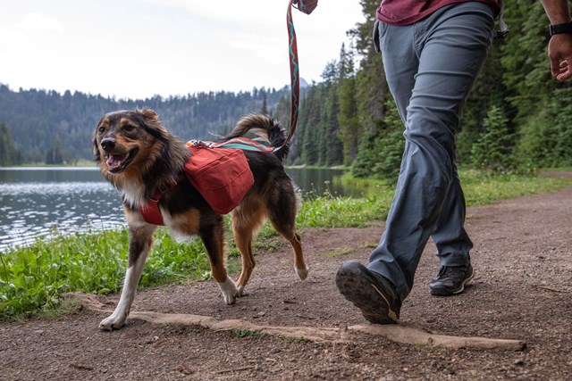 Front Range Day Pack Klövjeväska - Red Clay