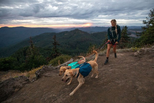 Front Range Day Pack Klövjeväska - Blue Moon