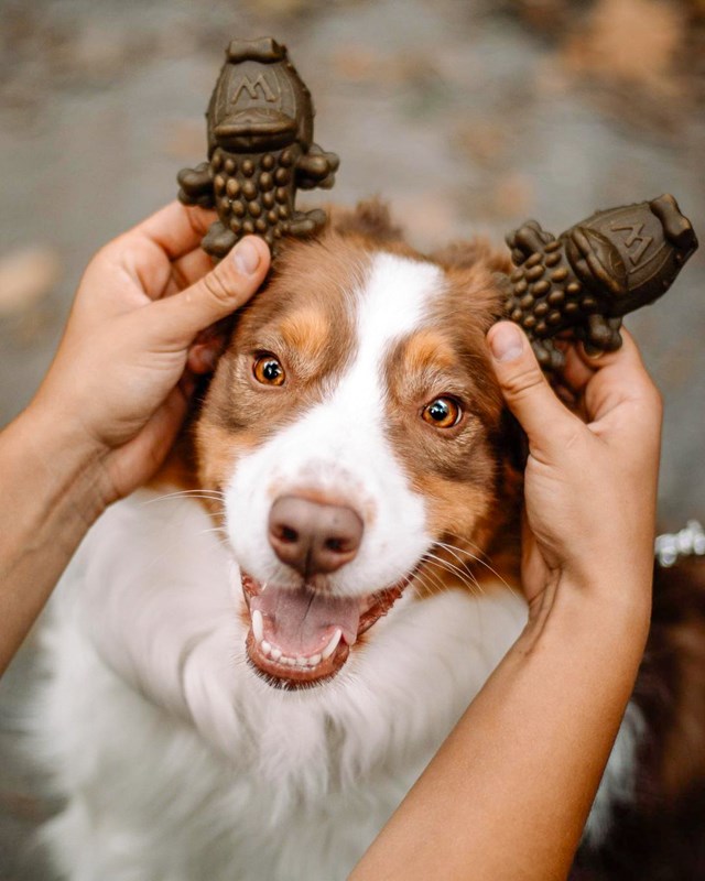 Whimzees Alligator Dental Stick M