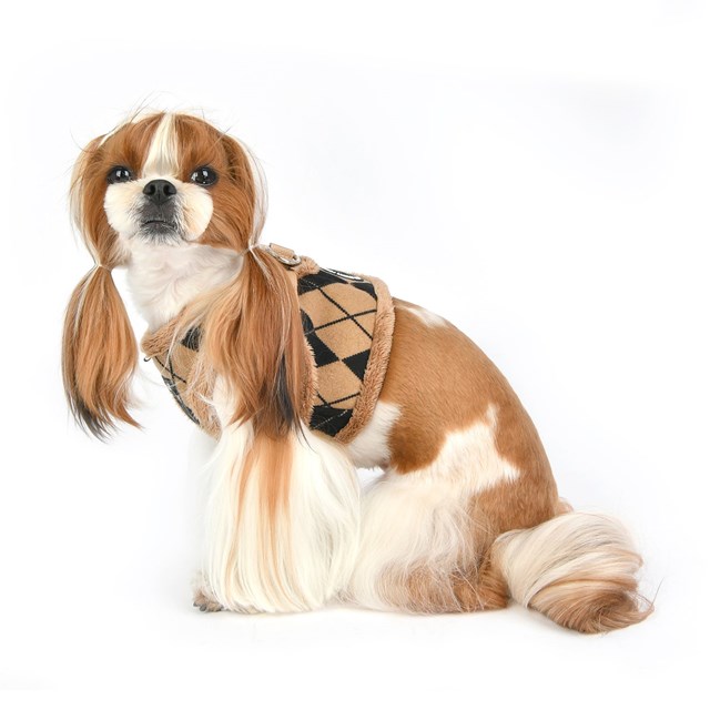 Jaden Beige - Jacket Hundsele