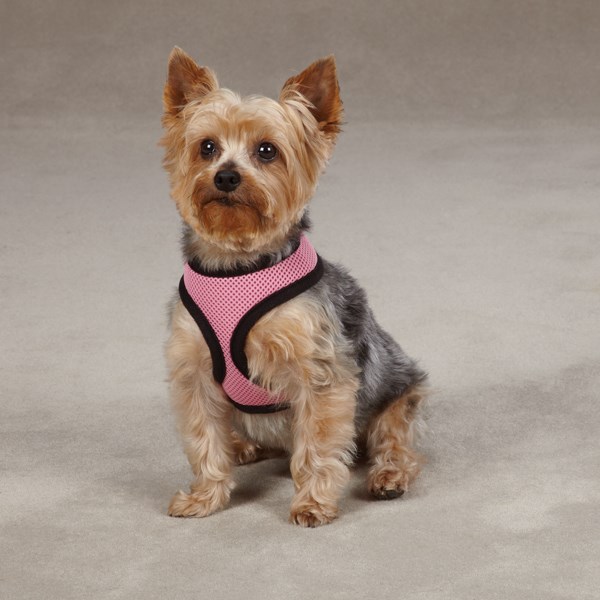 Casual Mesh Pink - Hundsele