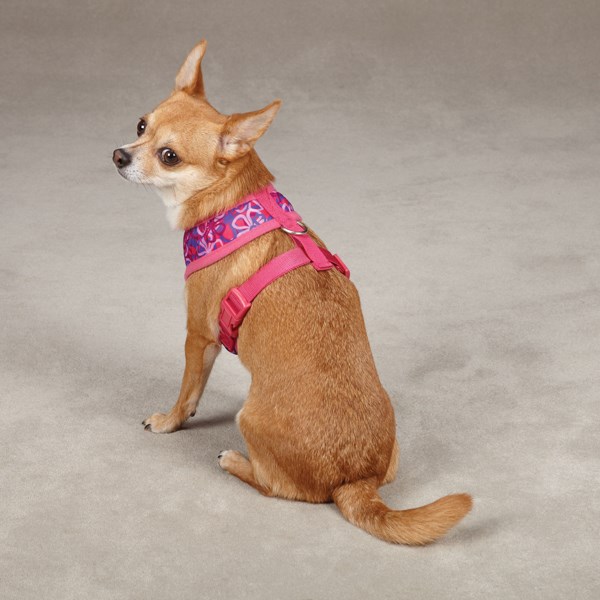 Carolina Pink - Hundsele Large