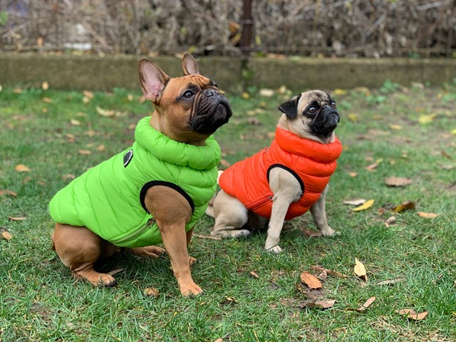 Ultra Light Vest B Orange Hundtäcke