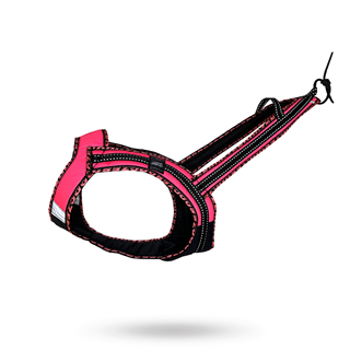 Zero Dc Faster - Royal Neon Pink
