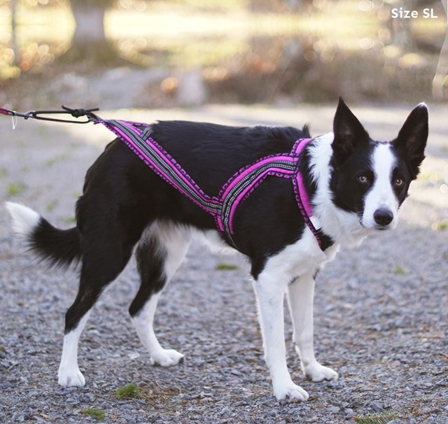 Zero DC Faster - Royal Rosa