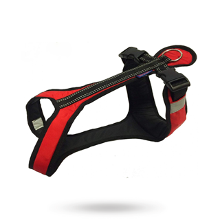 Zero Dc Shorter Röd