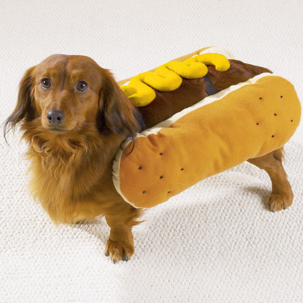 Korvbröds Kostym - Hundkläder
