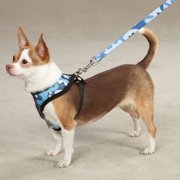 Camo Blue - Hundsele - medium