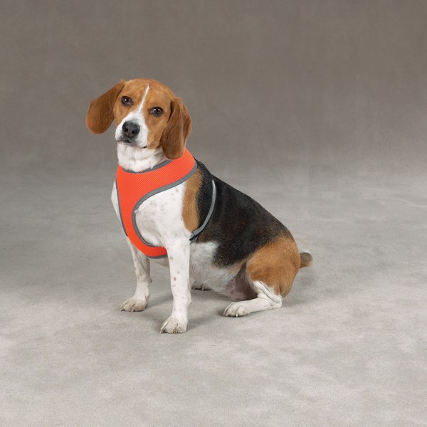 Orange Mesh - Reflex Hundsele Small