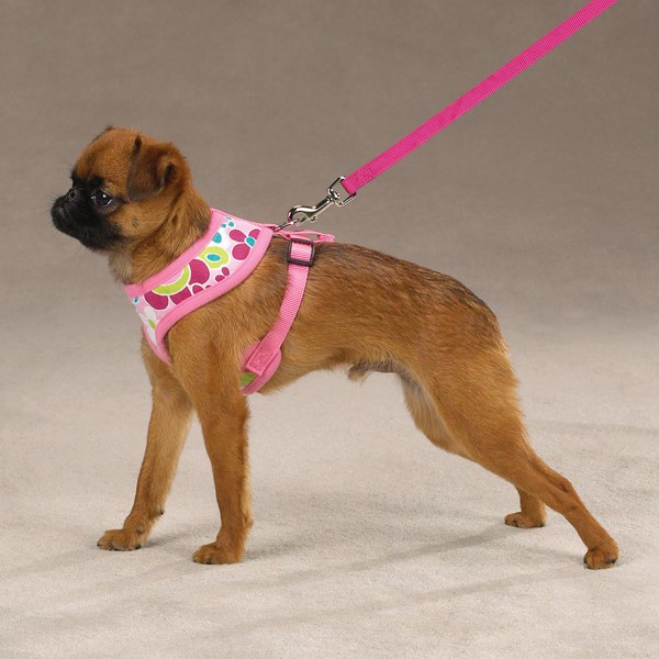 Mod Print - Hundsele Blå - Large