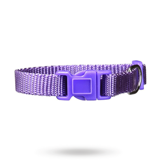 Nylonhalsband Viol - Small