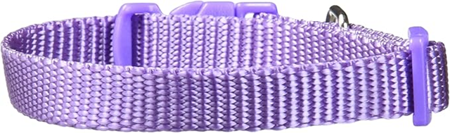 Nylonhalsband Viol - Small